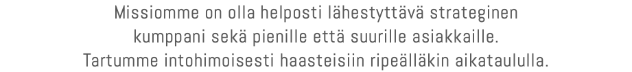 Missiomme on olla helposti lähestyttävä strateginen kumppani sekä pienille että suurille asiakkaille. Tartumme intohimoisesti haasteisiin ripeälläkin aikataululla.